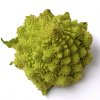 Romanesco web